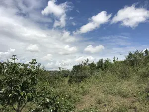 Iconic 1 Acre 1/2 Mua Hill
