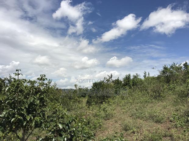 Iconic 1 Acre 1/2 Mua Hill - thumbnail 4