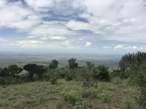 Iconic 1 Acre 1/2 Mua Hill