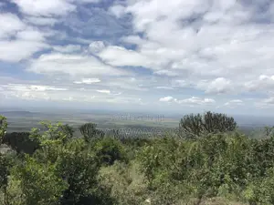 Iconic 1 Acre 1/2 Mua Hill