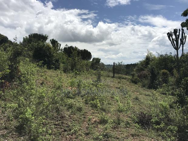 Iconic 1 Acre 1/2 Mua Hill - thumbnail 7