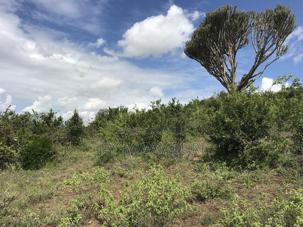 Iconic 1 Acre 1/2 Mua Hill - thumbnail 8