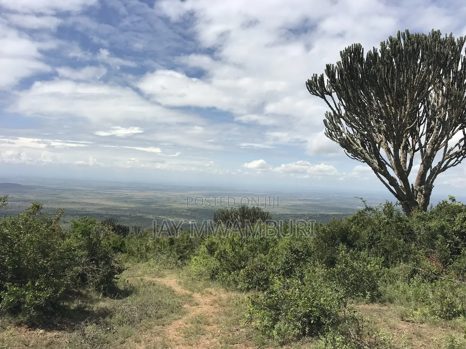 Iconic 1 Acre 1/2 Mua Hill