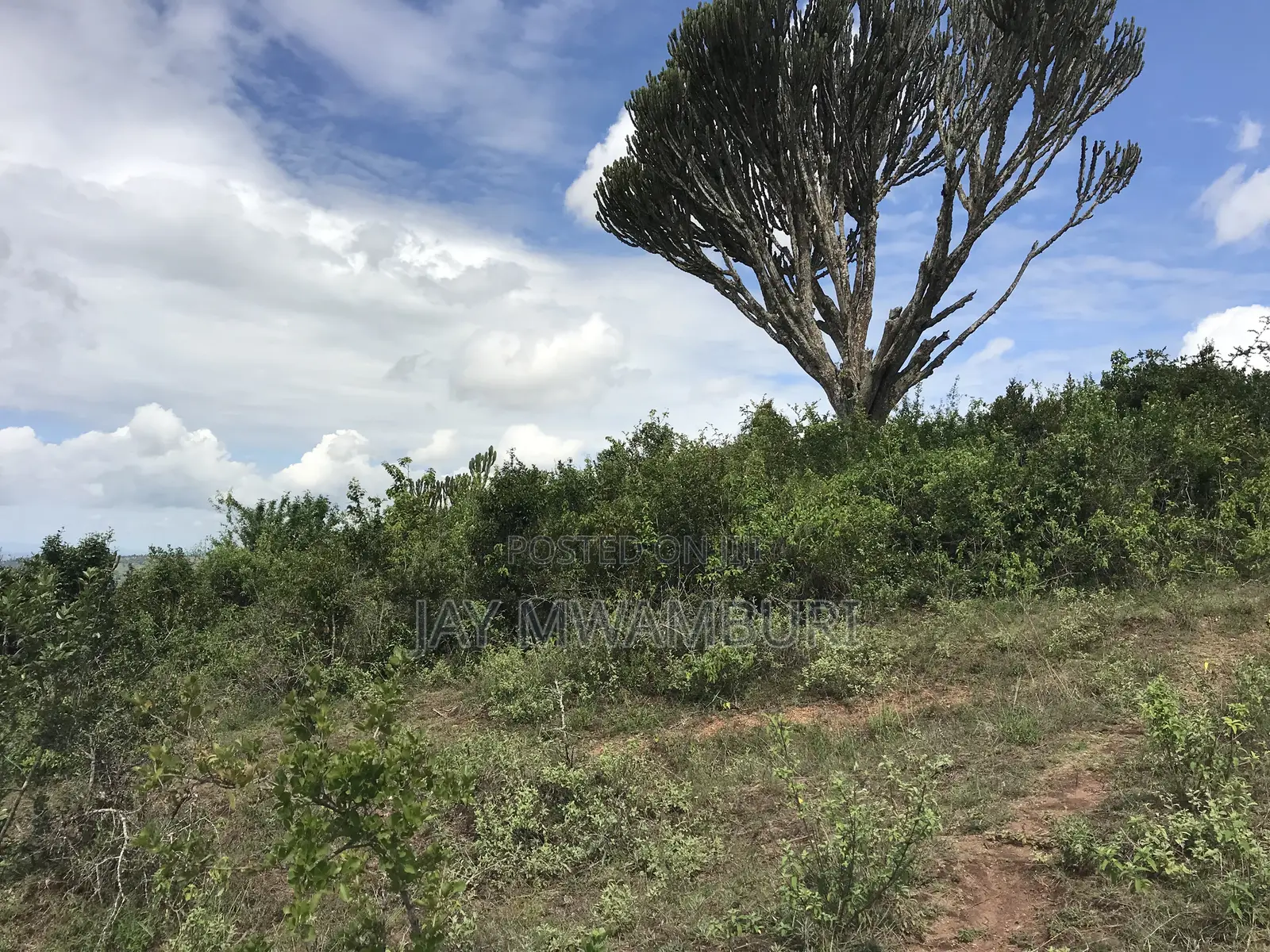 Iconic 1 Acre 1/2 Mua Hill