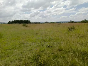 100 Acres in Ngata Sobea Nakuru