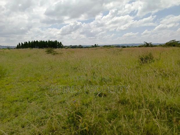 10 Acres in Ngata Sobea Nakuru