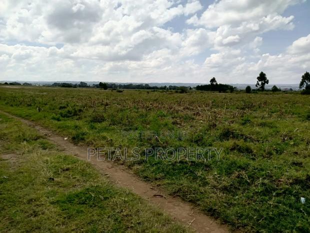 10 Acres in Ngata Sobea Nakuru - thumbnail 3