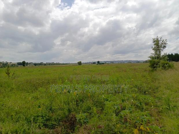 10 Acres in Ngata Sobea Nakuru - thumbnail 4