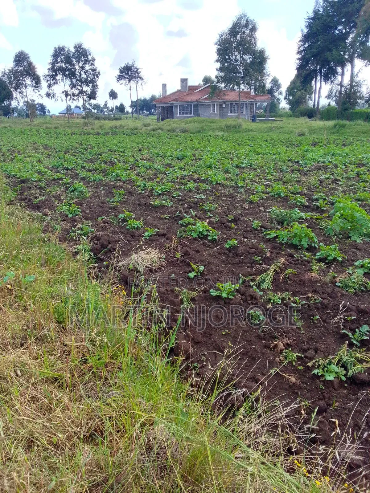 1⁄2 Acre Mwendandu