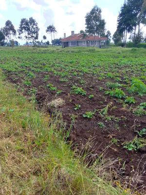 1⁄2 Acre Mwendandu - thumbnail 2