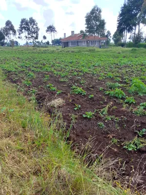 1⁄2 Acre Mwendandu