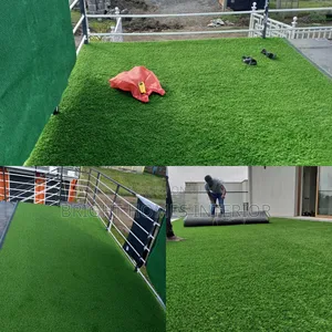 Grass Carpets Available
