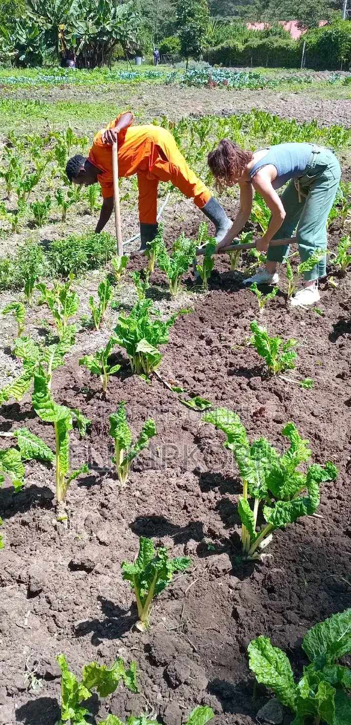 Gardening and Land Scaping