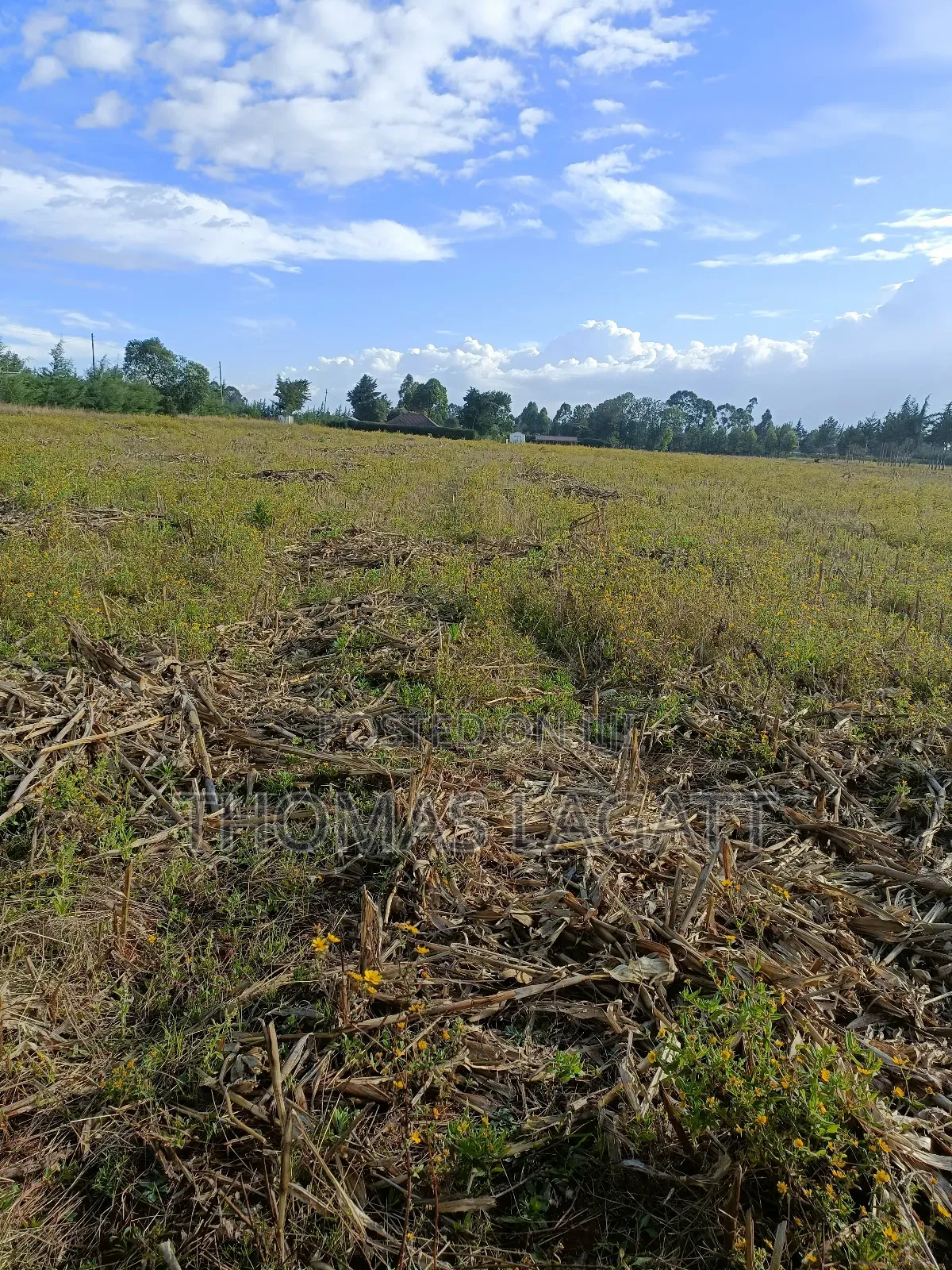 Eldoret Chepkanga Prime Residential Plots on Sale