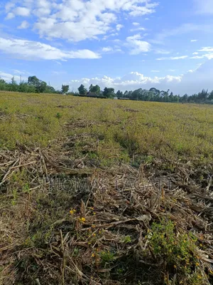Eldoret Chepkanga Prime Residential Plots on Sale