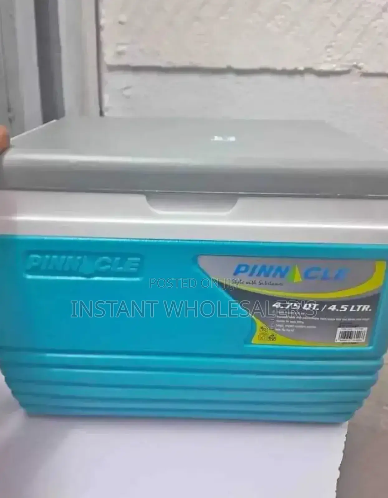 Home Use Cooler Box