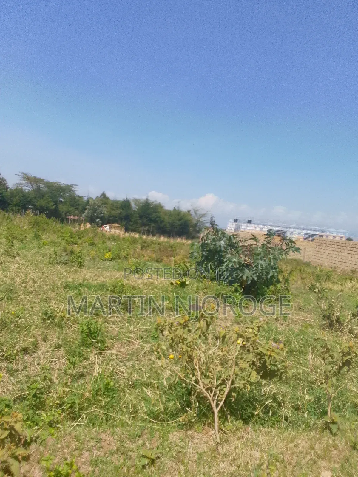 8 Acres Karai