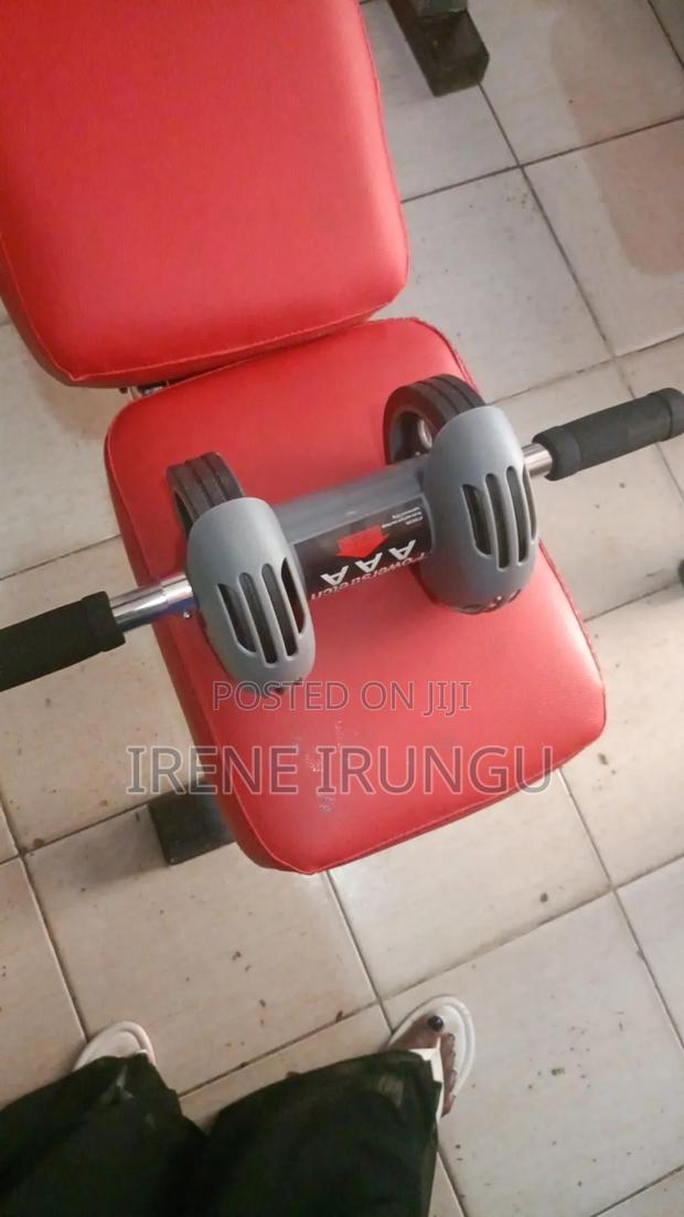 Spring Abs Roller