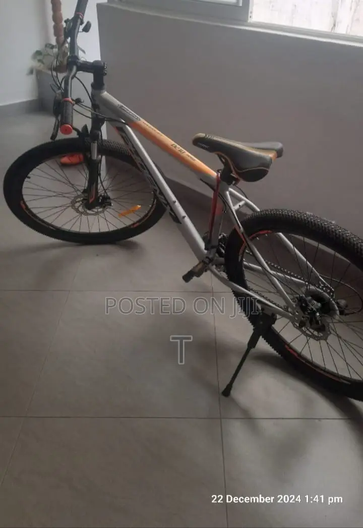Mountain Bike