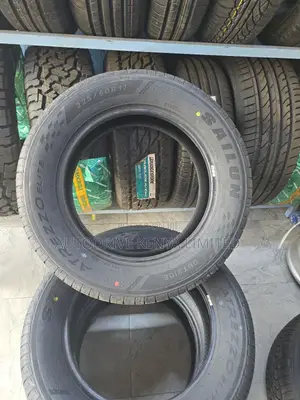 225/60r17 Sailun Tire