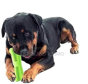 High Grade Rubber Bone Teeth Cleaner - thumbnail 2