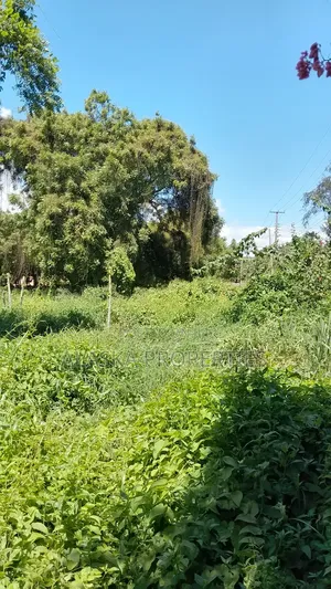 2 Acre Plot for Sale in Nyali Estate