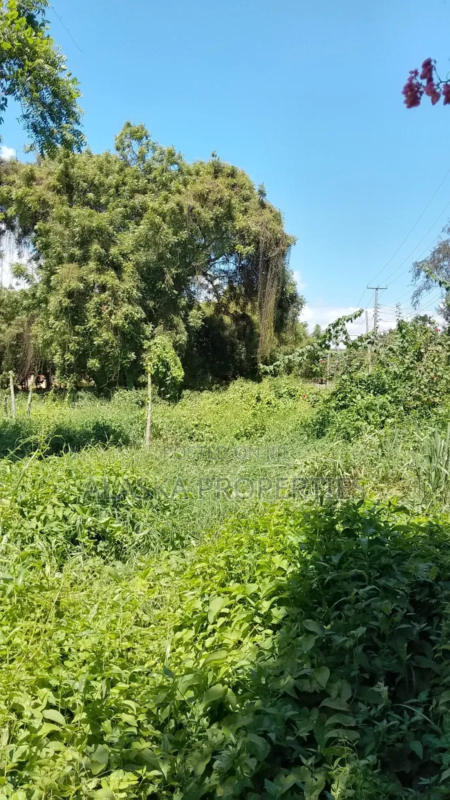 2 Acre Plot for Sale in Nyali Estate