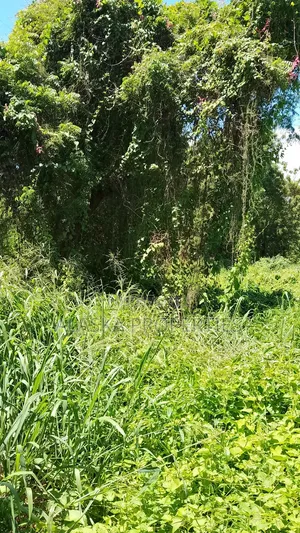 2 Acre Plot for Sale in Nyali Estate