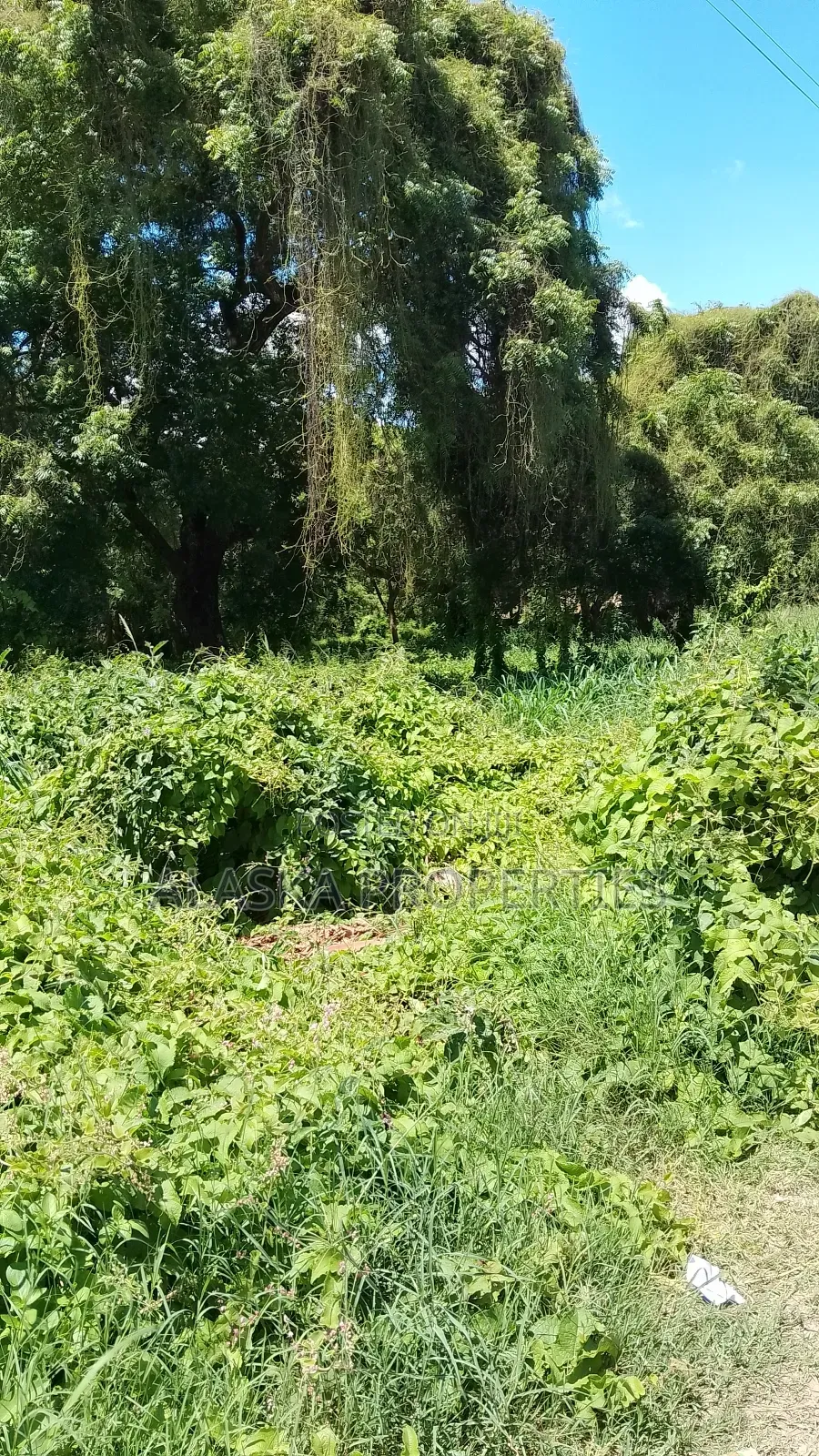 2 Acre Plot for Sale in Nyali Estate