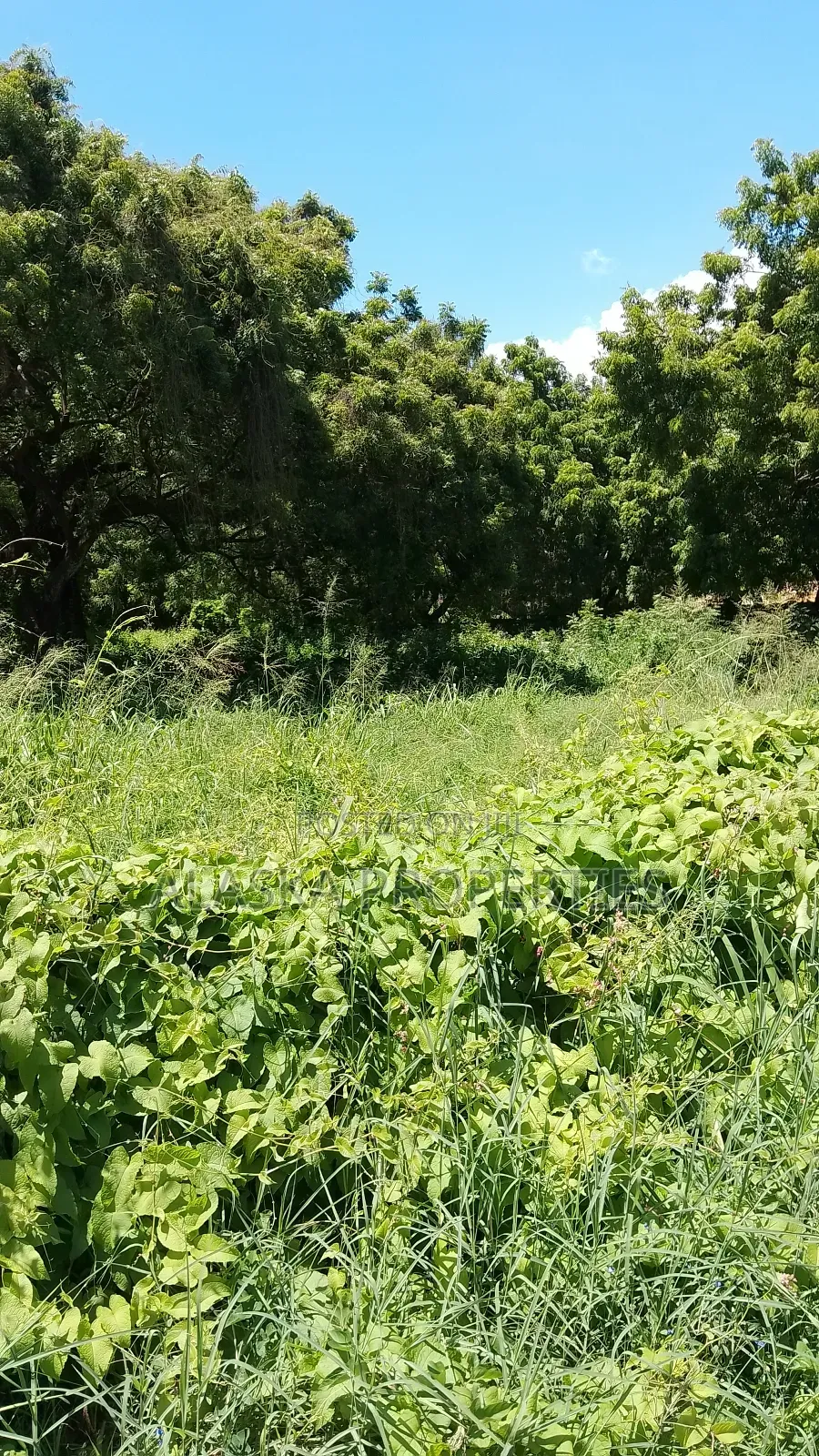 2 Acre Plot for Sale in Nyali Estate