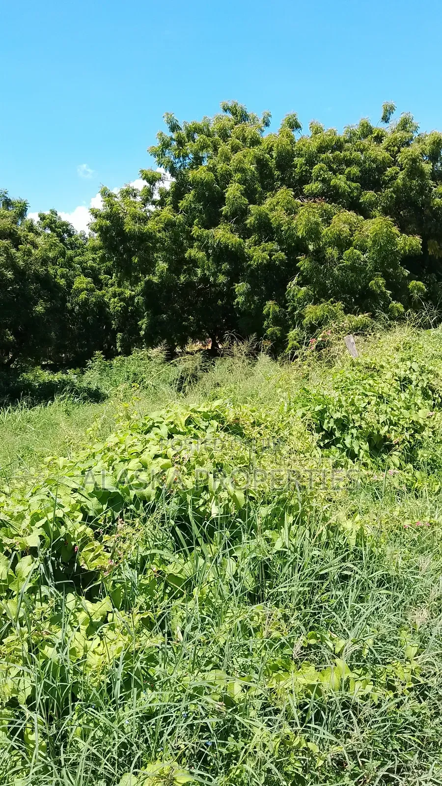 2 Acre Plot for Sale in Nyali Estate