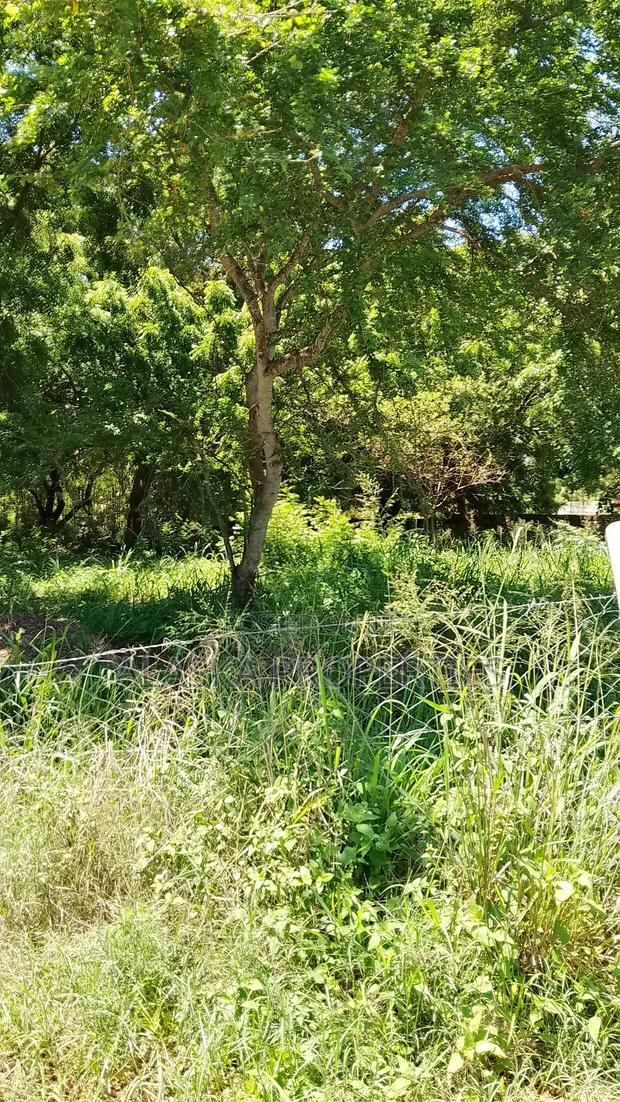 2 Acres for Sale in Nyali Green Wood Estate - thumbnail 2