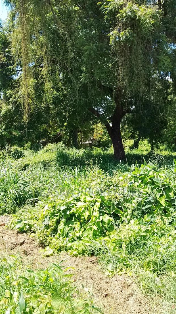 2 Acres for Sale in Nyali Green Wood Estate - thumbnail 7