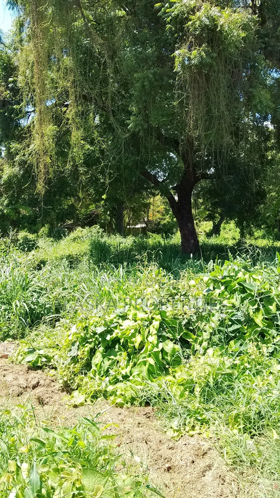 2 Acres for Sale in Nyali Green Wood Estate