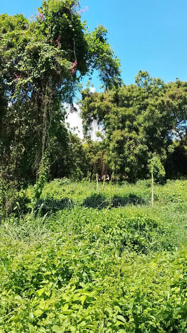 2 Acres for Sale in Nyali Green Wood Estate - thumbnail 12