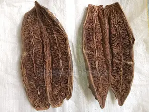 Sausage Tree, Kigelia Africana - Muratina Fruits (5 Pieces)