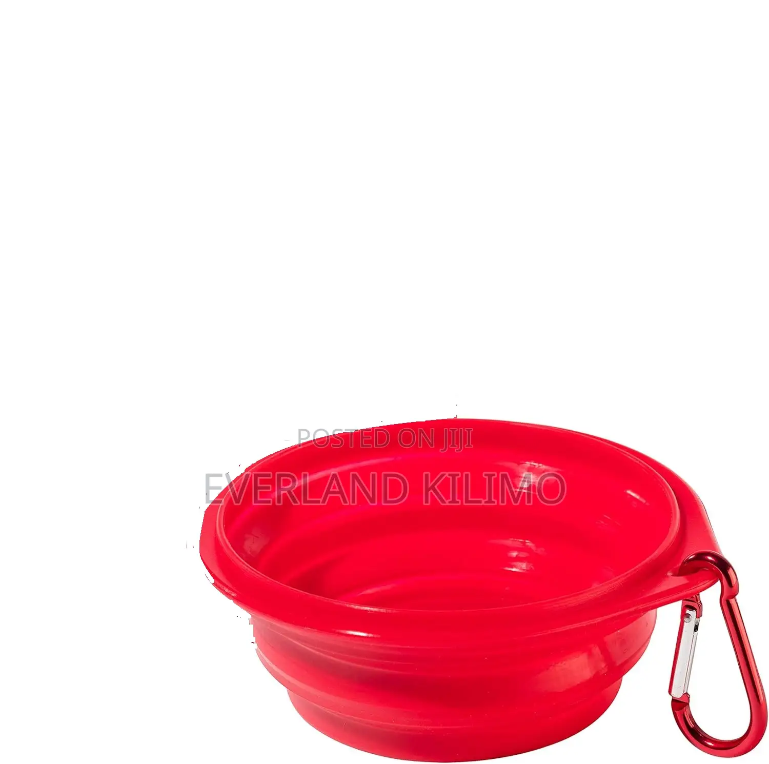 Modern Collapsible Pet Bowl