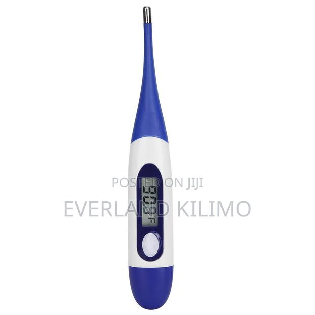 Superior LED Thermometer - main view