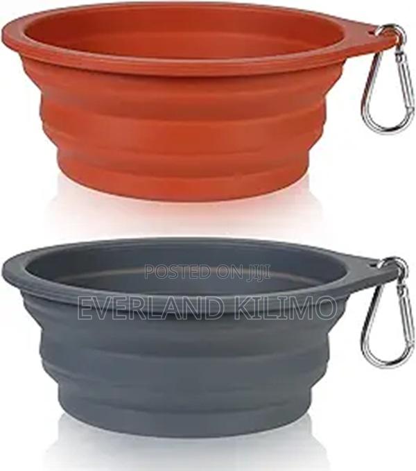 Classy Collapsible Feeding Bowl - main view