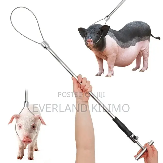 Pig Holder/Restrainer