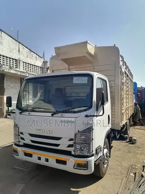 Isuzu Nqr81 Truck.