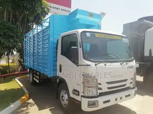 Isuzu Nqr81 Truck.