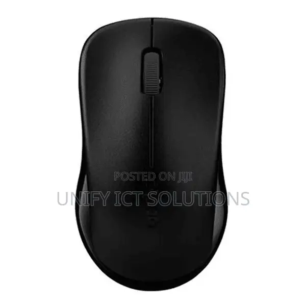 Rapoo Wireless Optical Mouse 1620