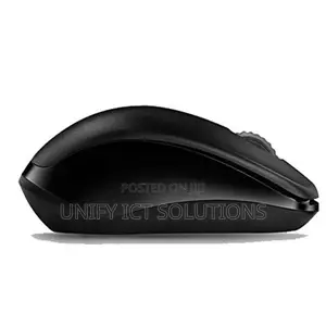 Rapoo Wireless Optical Mouse 1620