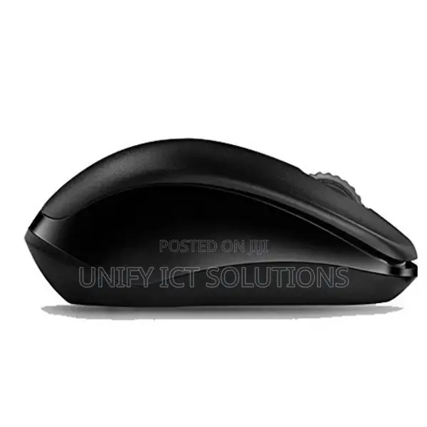 Rapoo Wireless Optical Mouse 1620