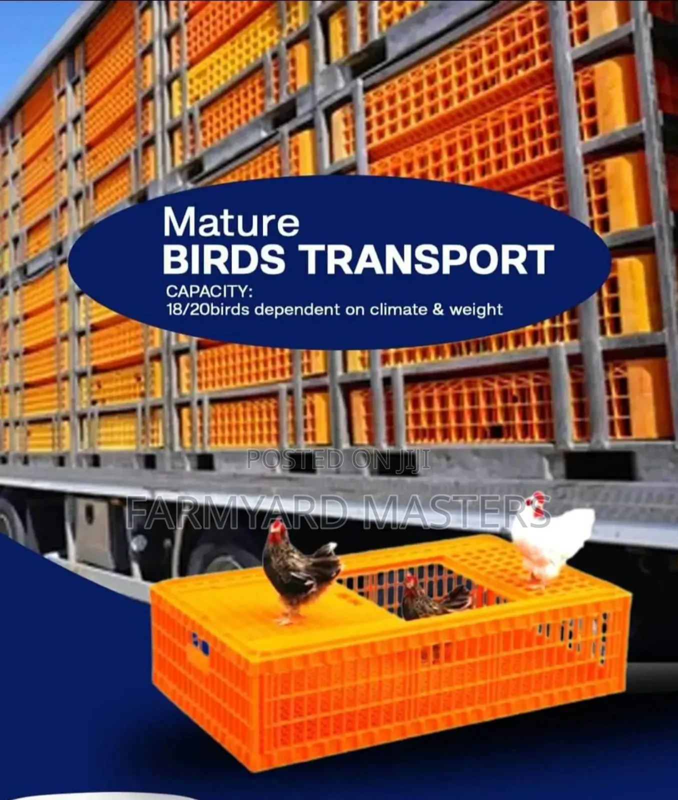 Live Chicken Transportation Crates