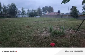 1/8 Plot Annex With Title