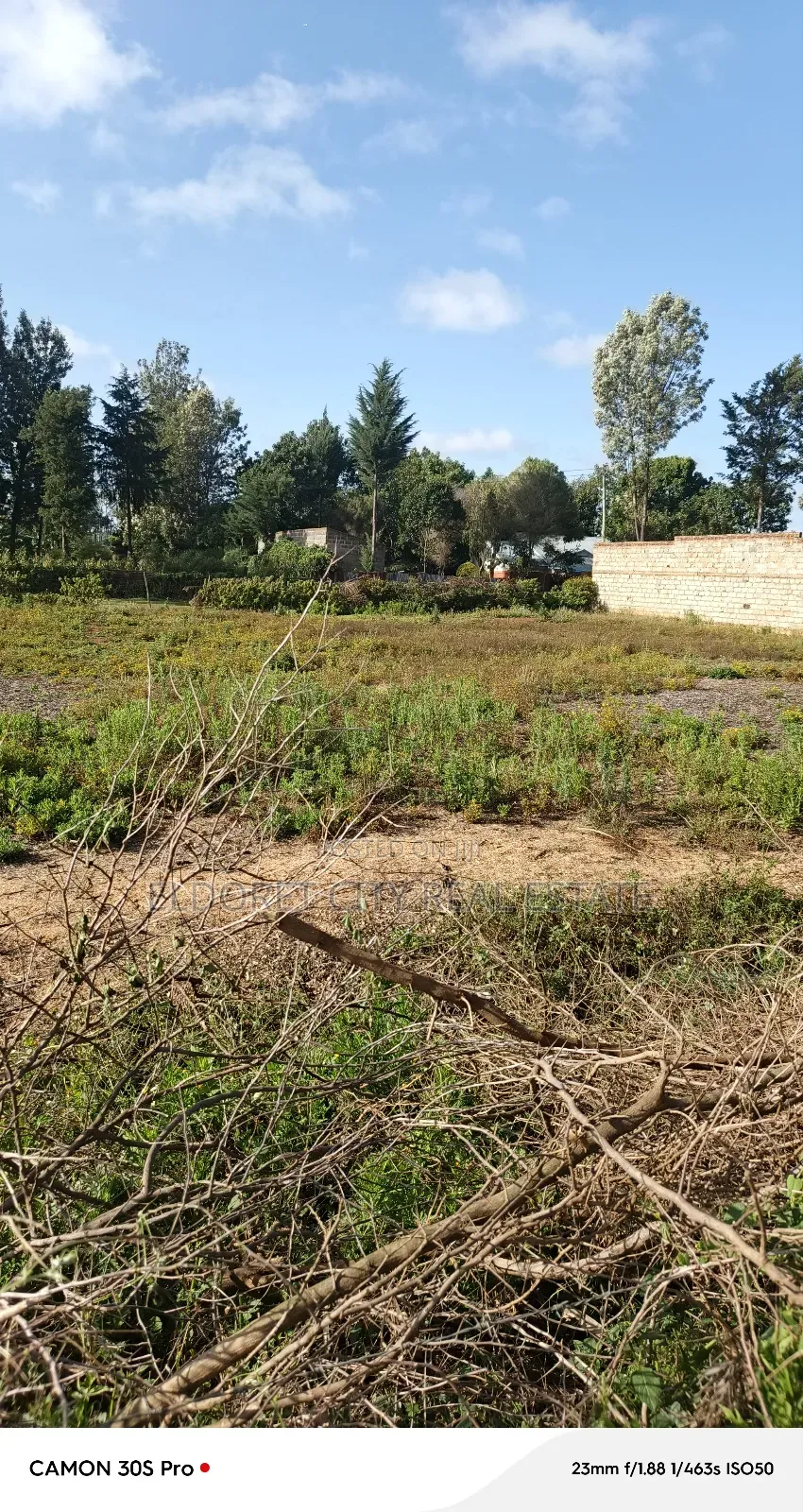 1/4 Plot Kimumu/Better Farm With Title