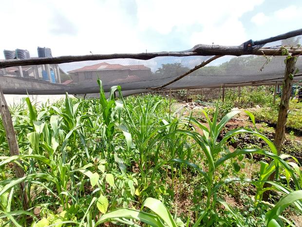 Membly Estate Prime 1/4 Acre Plot With Perimeter Wall 4 Sale - thumbnail 6