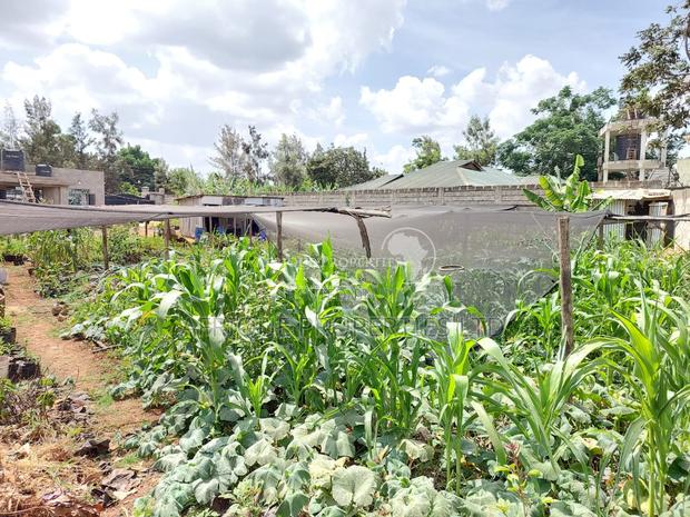 Membly Estate Prime 1/4 Acre Plot With Perimeter Wall 4 Sale - thumbnail 7